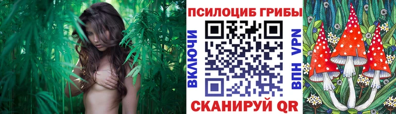 Галлюциногенные грибы Magic Shrooms  Купить закладки  Пучеж